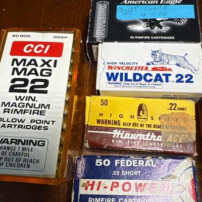 .22 cal ammunition