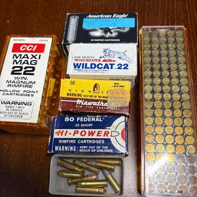 .22 cal ammunition