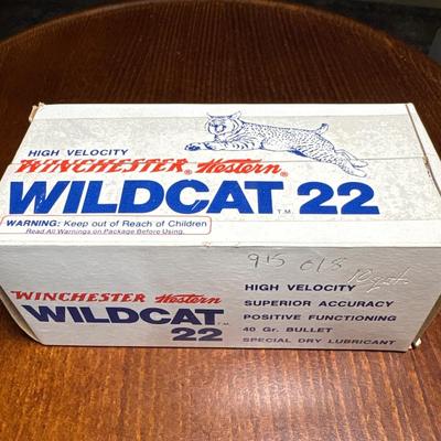 500 rounds .22 ammunition