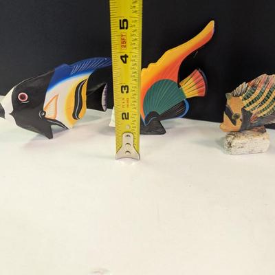 Sea Life Collection