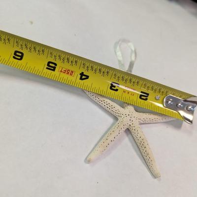 Sea Life Collection