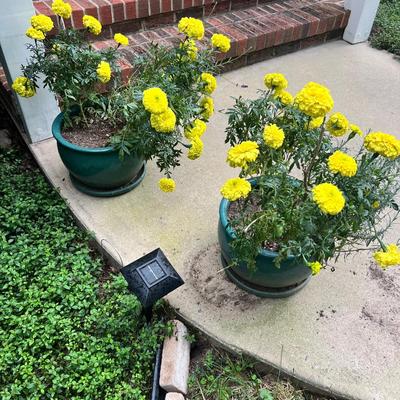 Trio of Teal Ceramic Plant Pots (FP-RG)