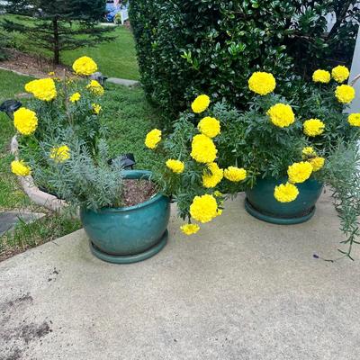 Trio of Teal Ceramic Plant Pots (FP-RG)
