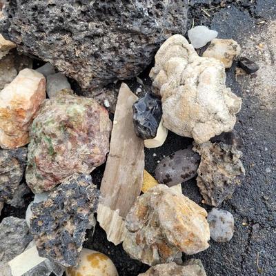 Decorative Rocks and Seashells (G-EL)