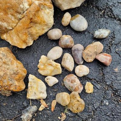 Decorative Rocks and Seashells (G-EL)