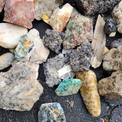 Decorative Rocks and Seashells (G-EL)