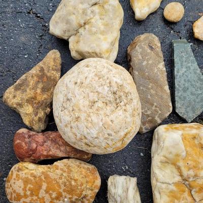 Decorative Rocks and Seashells (G-EL)