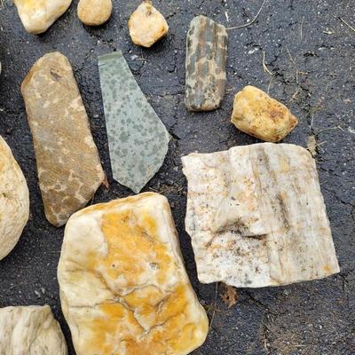 Decorative Rocks and Seashells (G-EL)