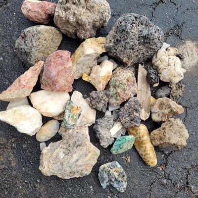 Decorative Rocks and Seashells (G-EL)