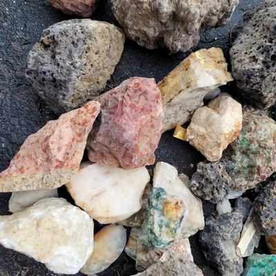 Decorative Rocks and Seashells (G-EL)