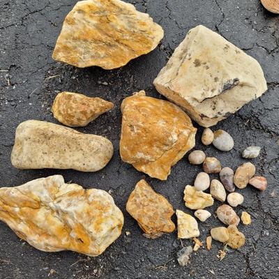 Decorative Rocks and Seashells (G-EL)