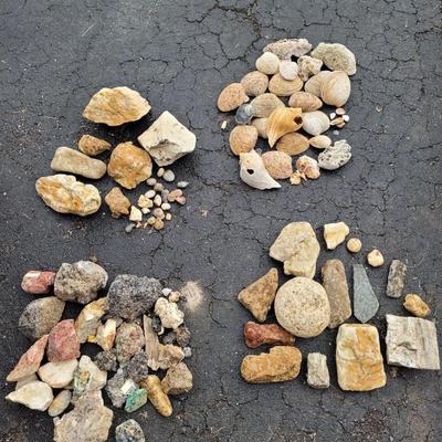 Decorative Rocks and Seashells (G-EL)