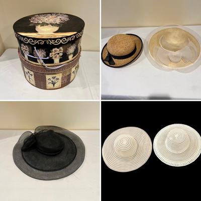 Ladies Smart Summer Hats Plus Hatboxes (BD-RG)