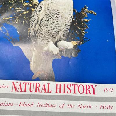 American Museum of Natural History Magazine Large Vintage 1940s Lot 96 Issues