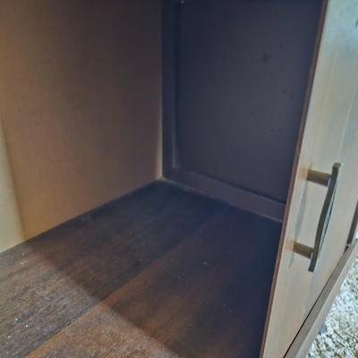 Mid Century Modern Sliding Door Cabinet (G5-JS)