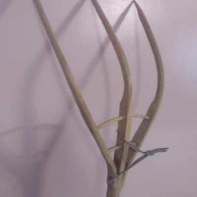 Hand Crafted Primitive Style Hay Fork