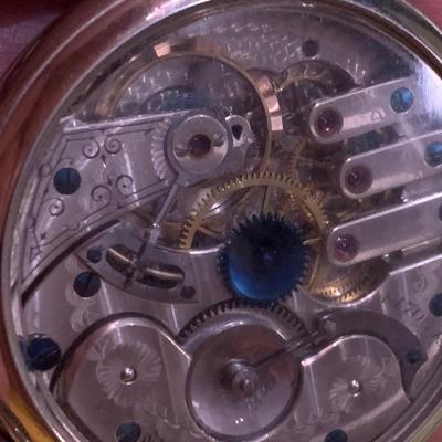 Elgin Clear Back Pocket Watch #4470849