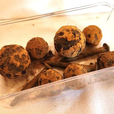 Lot #256 Small collection of Civil War era "Grapeshot" and nails - dug artifacts