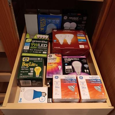 AN ASSORTMENT OF LIGHT BULBS AND BATTERIES