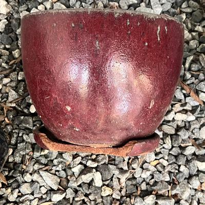 Assortment of Glazed Plant Pots (BY-RG)