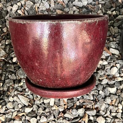 Assortment of Glazed Plant Pots (BY-RG)