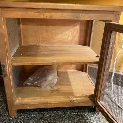 Small vintage screened cabinet