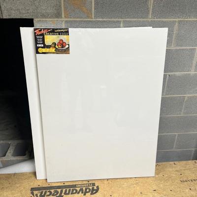 Two Large 36” x 48” Canvases (BS-RG)