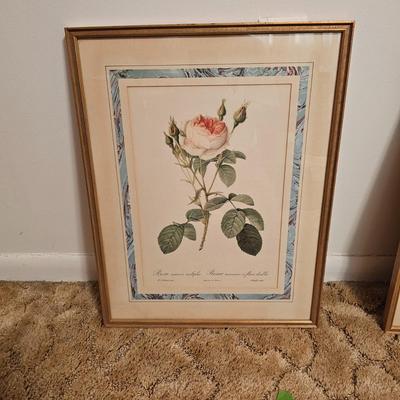 Three Rose Prints (B2-JS)