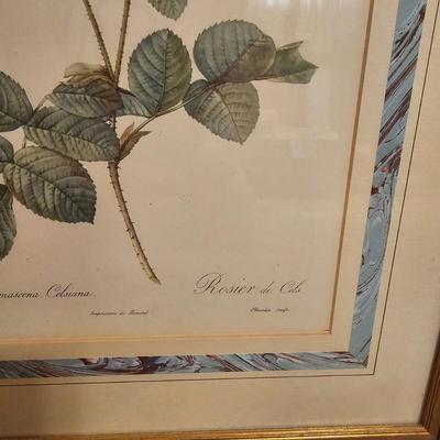 Three Rose Prints (B2-JS)