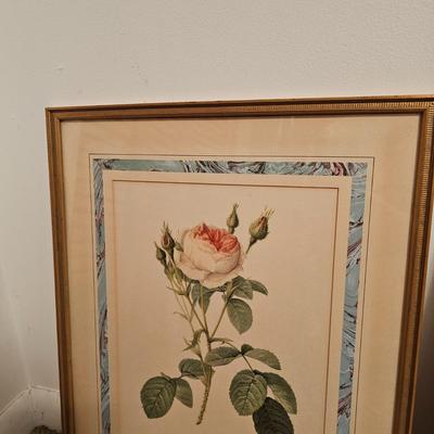 Three Rose Prints (B2-JS)