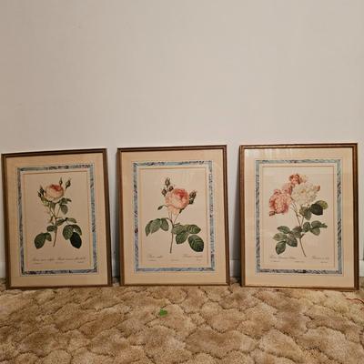Three Rose Prints (B2-JS)