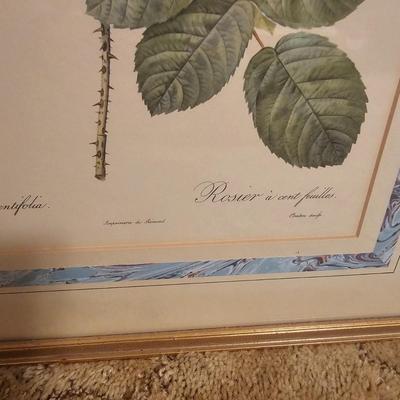 Three Rose Prints (B2-JS)