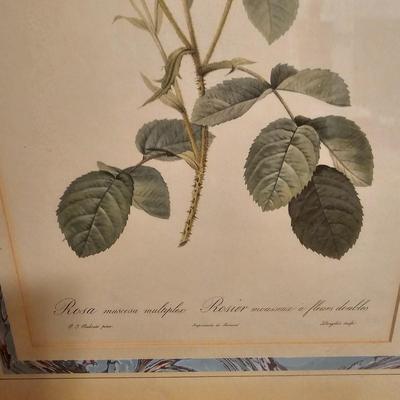 Three Rose Prints (B2-JS)