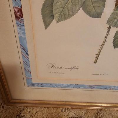 Three Rose Prints (B2-JS)