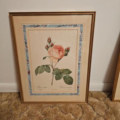 Three Rose Prints (B2-JS)