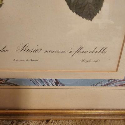 Three Rose Prints (B2-JS)