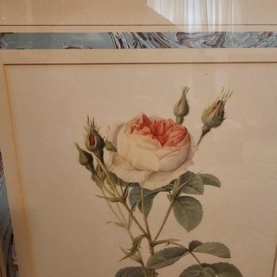Three Rose Prints (B2-JS)