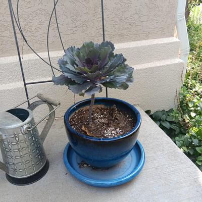 SPINNING YARD ART, DRAGONFLY TRELLIS, FLOWER POT AND WATERING CAN