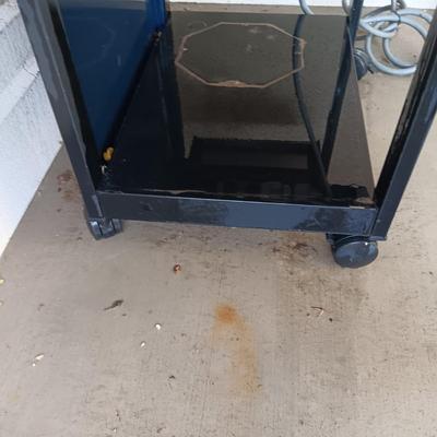 VERMONT CASTINGS GAS/PROPANE GRILL ON 4 CASTERS