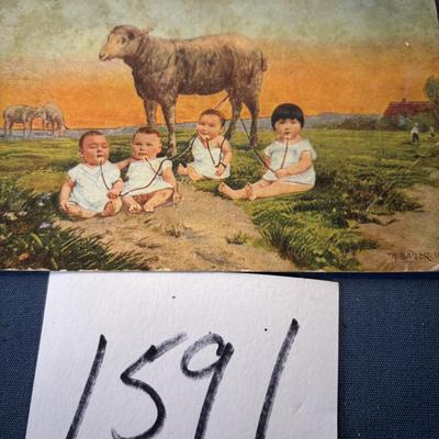 Vintage Postcard Lot