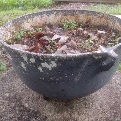 Vintage Cast Iron Cauldron Used as Planter