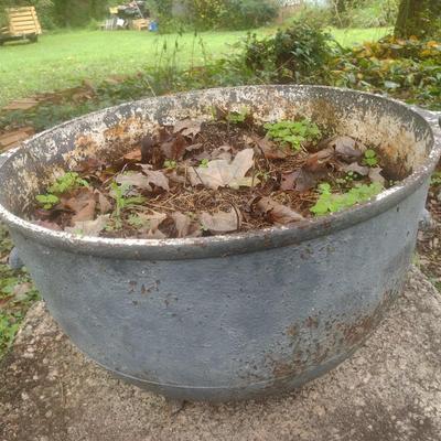 Vintage Cast Iron Cauldron Used as Planter