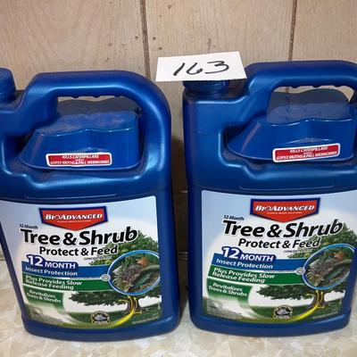 Tree & Shrub