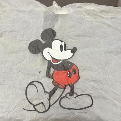 Vintage Clear Walt Disney World Poncho - Child Size