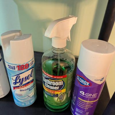 Personal Products & Cleaning Supplies (SB)