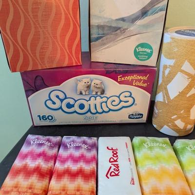 Boxed Tissue & Travel Size Tissues