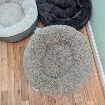 Used Small Dog Beds (G)