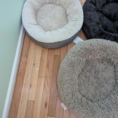 Used Small Dog Beds (G)