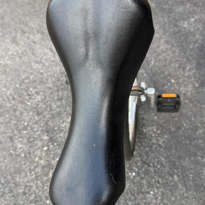 Avenir Adult Unicycle