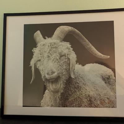 Set of Three Prints Roan Mountain Tennessee - Local Artist Jeffrey Stoner - Fine Art Photography (SB)